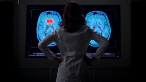 Amelia 11X14