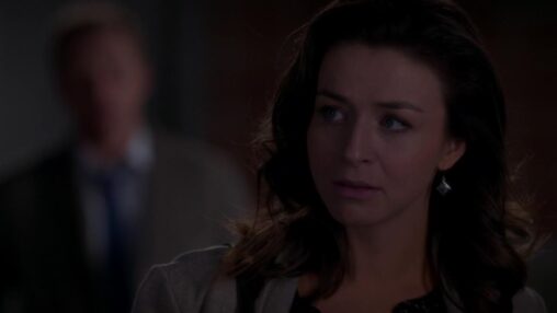 Amelia 11X17